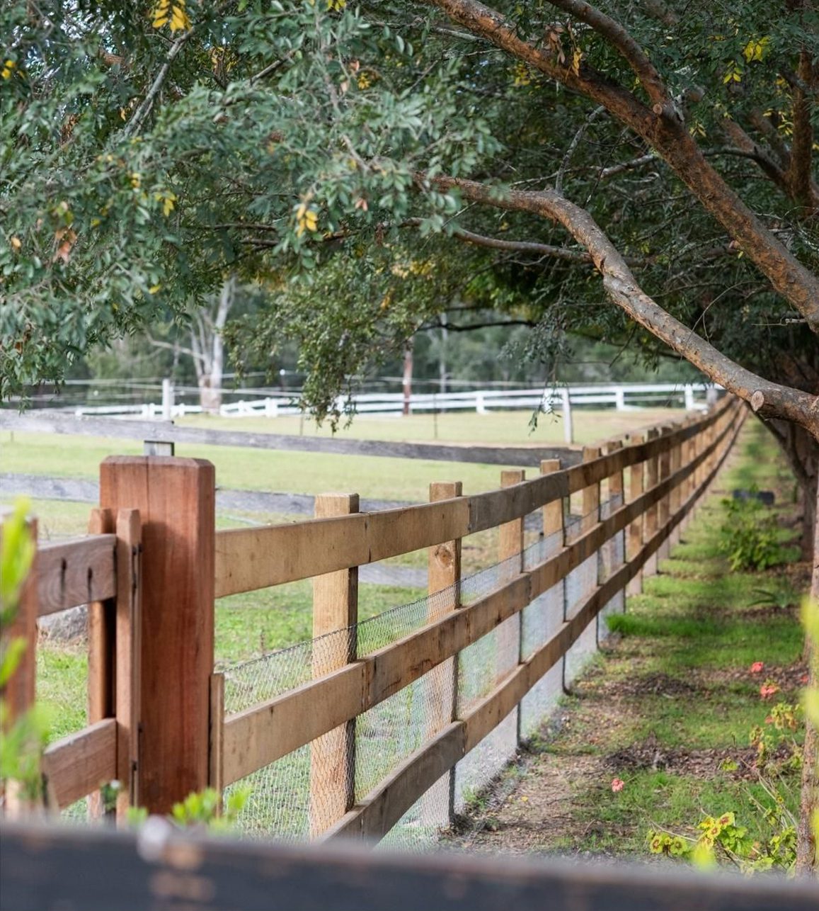 img-5 Timber post and rail fencing alongside greenery and trees, showcasing durable construction for rural and equestrian properties.